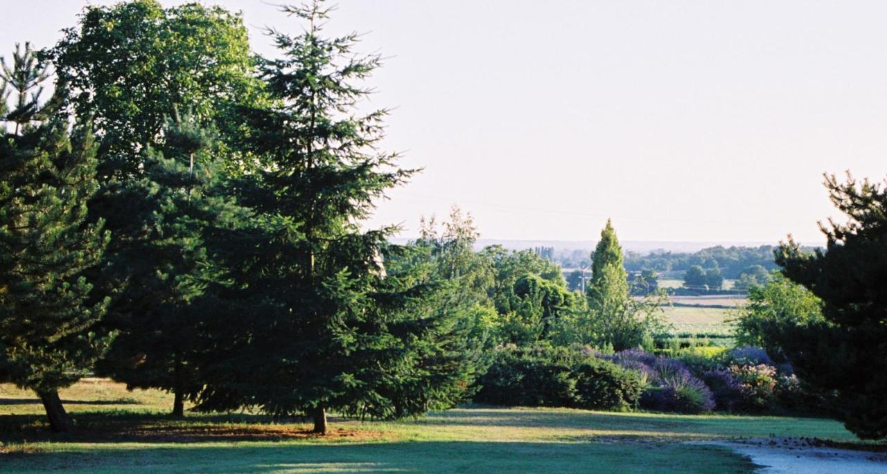Le Logis Du Pressoir Chambre D'Hotes Bed & Breakfast In Beautiful 18Th Century Estate In The Heart Of The Loire Valley With Heated Pool And Extensive Grounds Bed & Breakfast Les Bois-d'Anjou Dış mekan fotoğraf